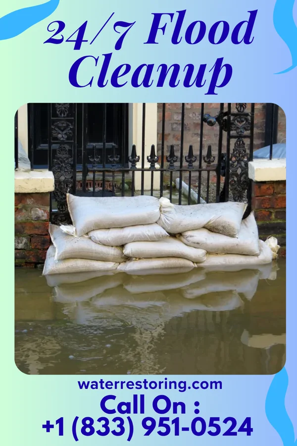 24/7 Flood Cleanup in Tunnelhill, PA