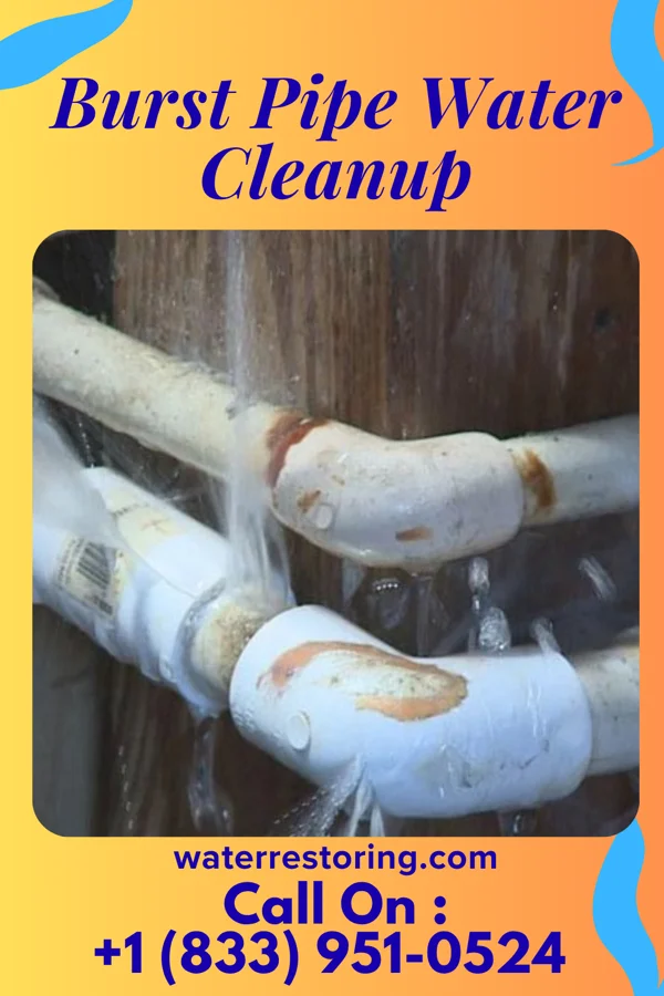Burst Pipe Water Cleanup in Tunnelhill, PA