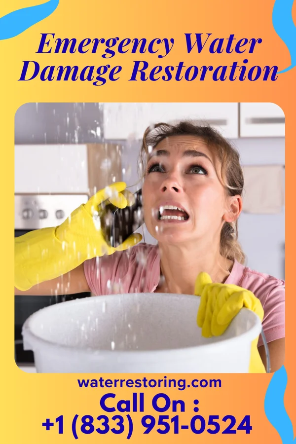 Emergency Water Damage Restoration in Tunnelhill, PA