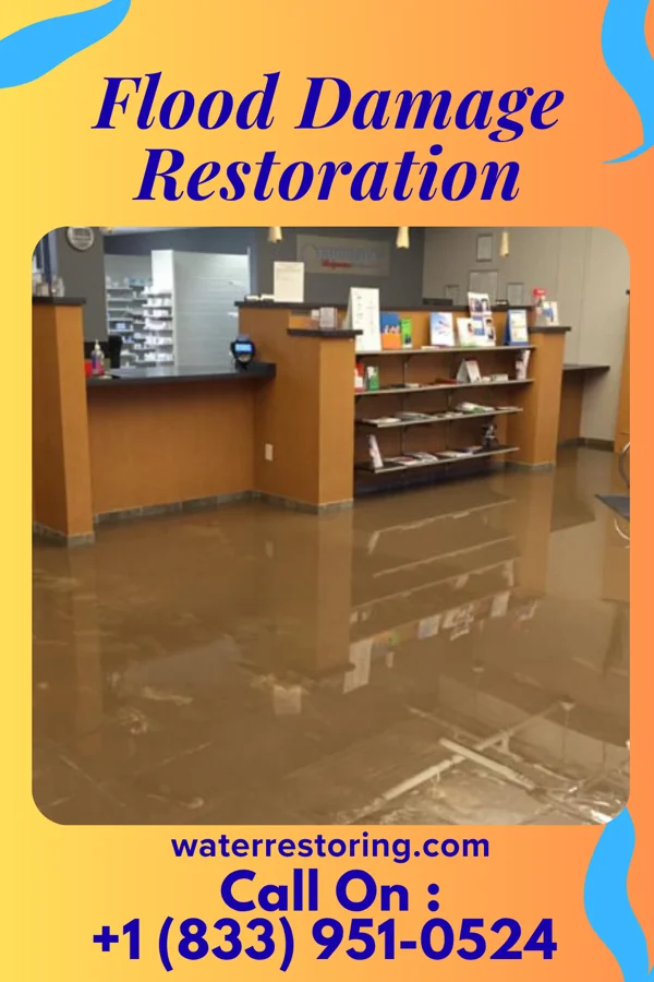 Flood Damage Restoration in Tunnelhill, PA