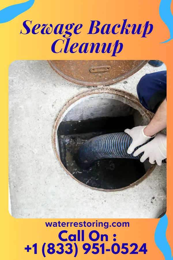 Sewage Backup Cleanup in Tunnelhill, PA