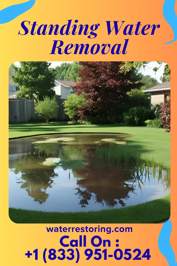Standing Water Removal in Tunnelhill, PA